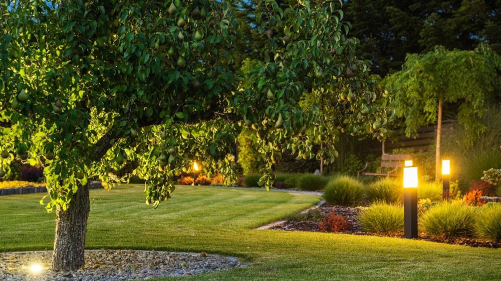 Outdoor Entertaining Area